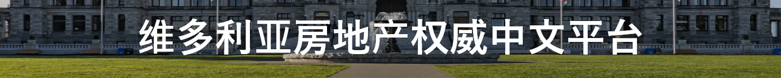 top banner