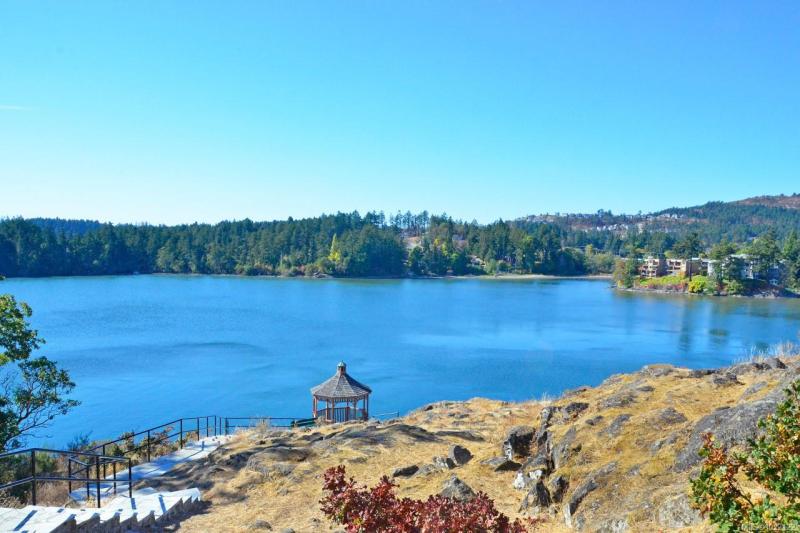 第26幅图片