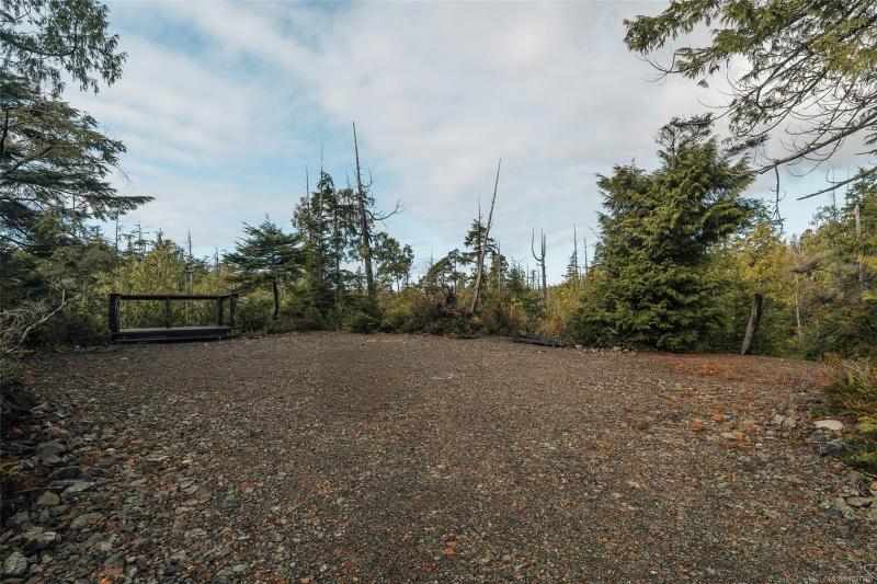 第9幅图片