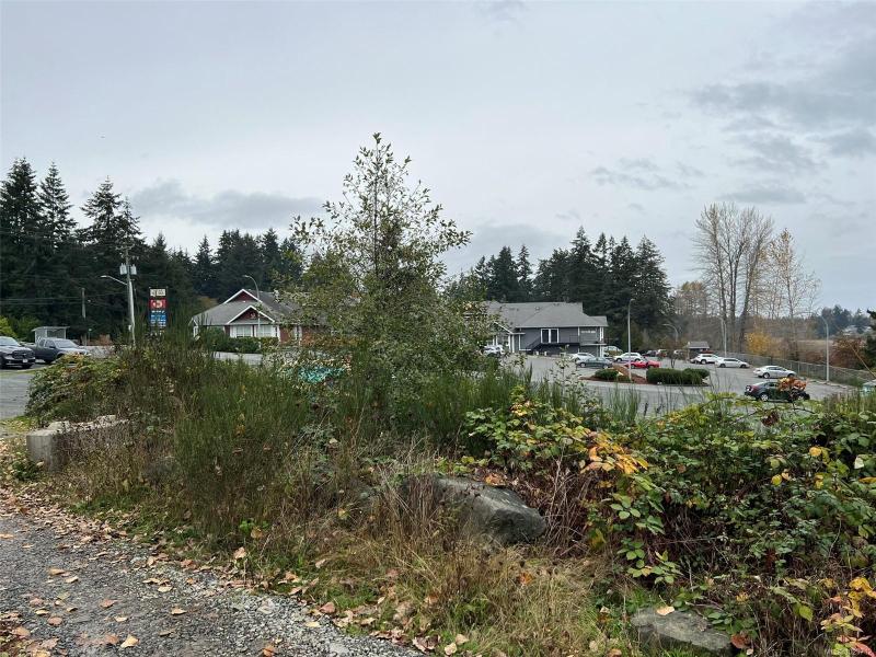 第11幅图片