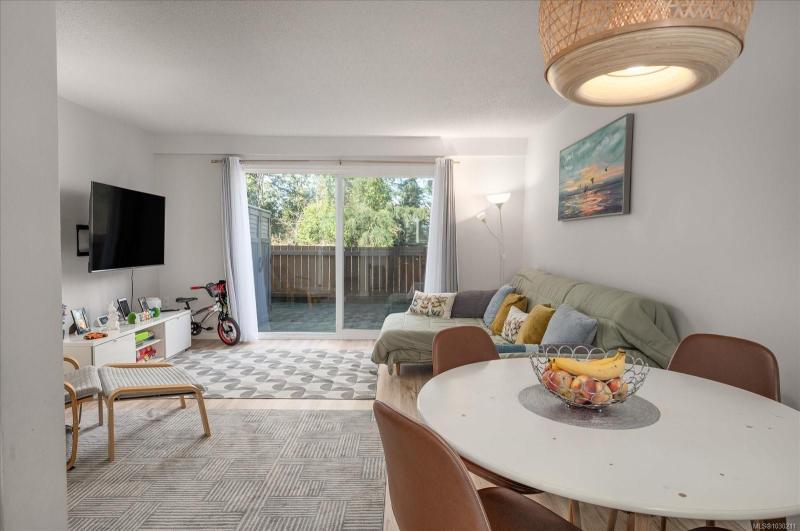 第9幅图片