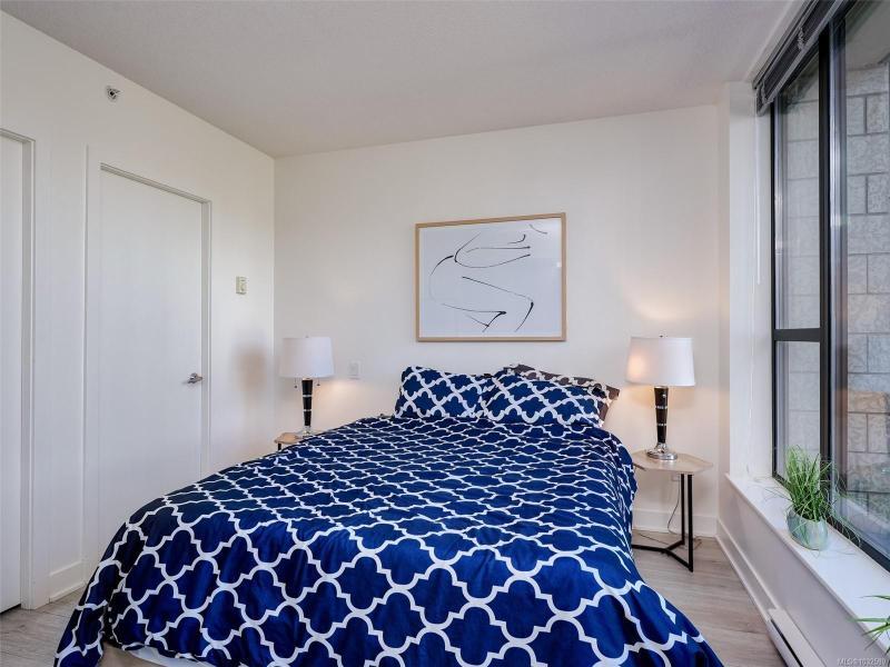 第11幅图片