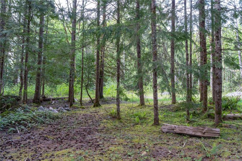 第3幅图片