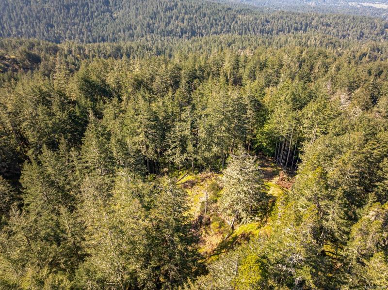 第2幅图片