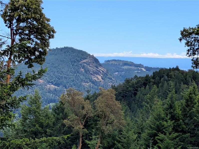 第2幅图片