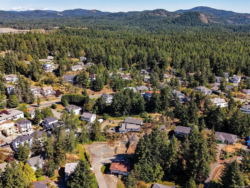 第11幅图片