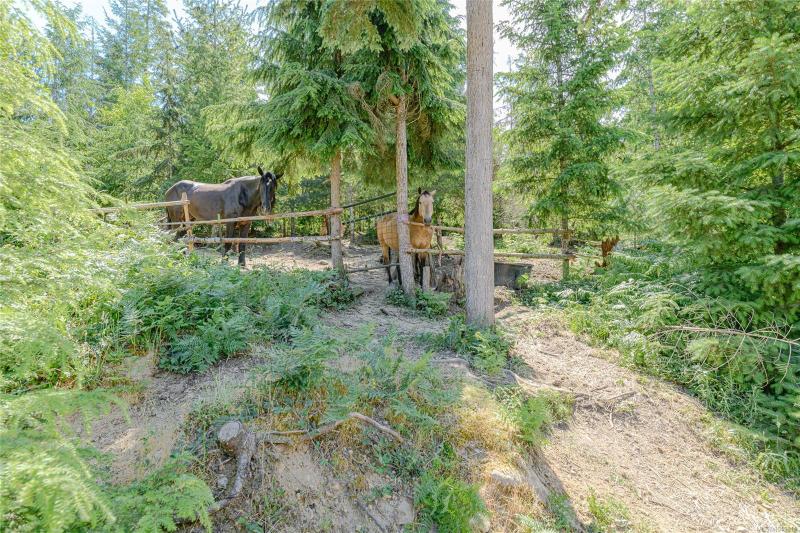 第15幅图片