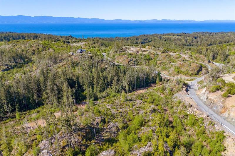 第4幅图片