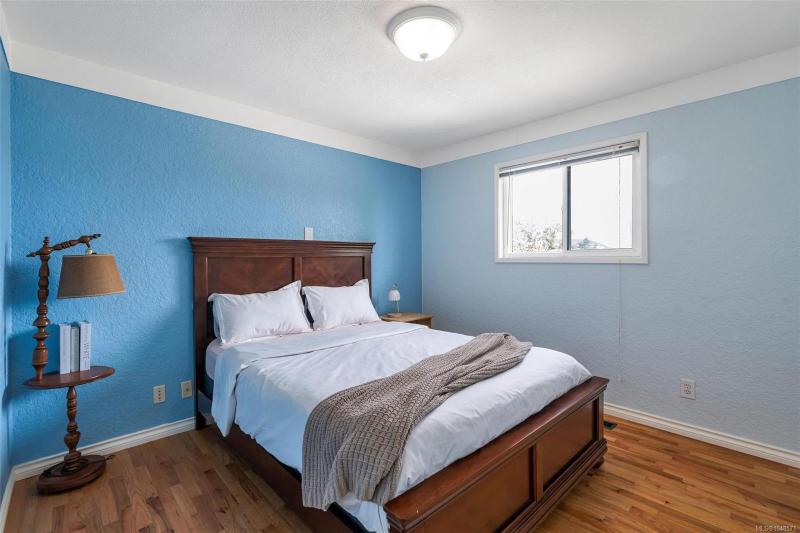 第23幅图片